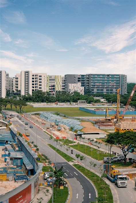 Feb 2022 BTO: Yishun Boardwalk and Grove Spring @ Yishun .
